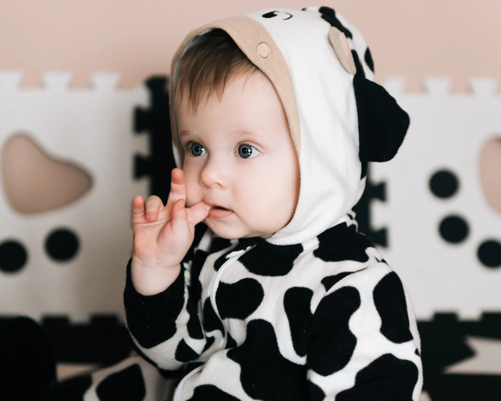 auto rocking bassinet